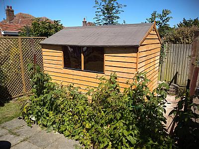 Traditional timber shed
